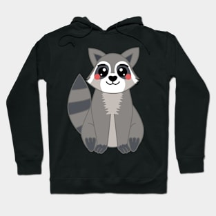 Cute Kawaii Raccoon Hoodie